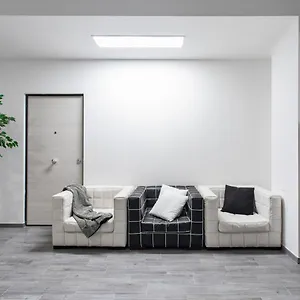 Olimpia House Bologna